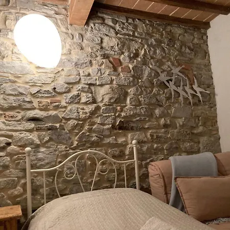 La Pecora E L Agnello 3*