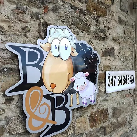 La Pecora E L Agnello