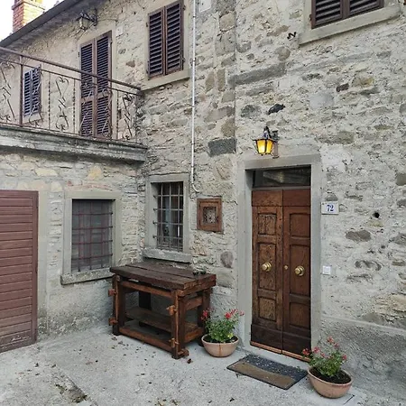 La Pecora E L Agnello