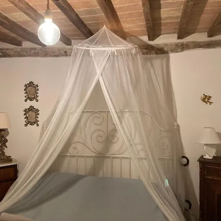 La Pecora E L Agnello 3*