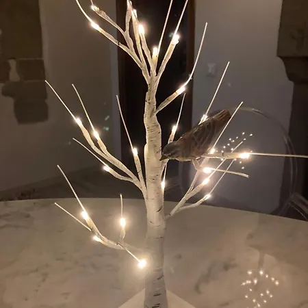 La Pecora E L Agnello