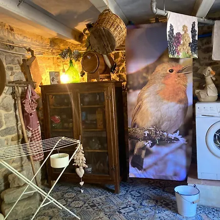La Pecora E L Agnello *