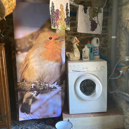 La Pecora E L Agnello 住宿加早餐酒店 卡普雷塞·米开朗基罗