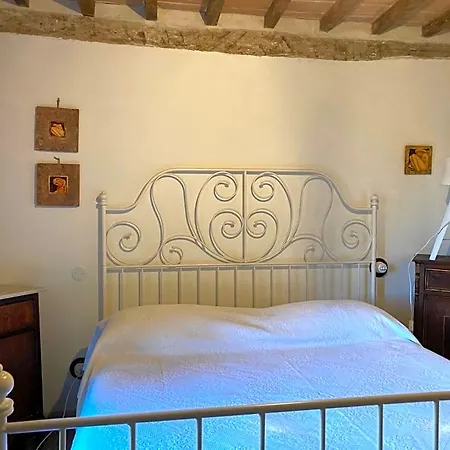 La Pecora E L Agnello