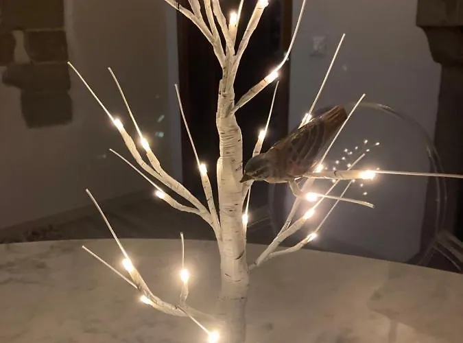 La Pecora E L Agnello