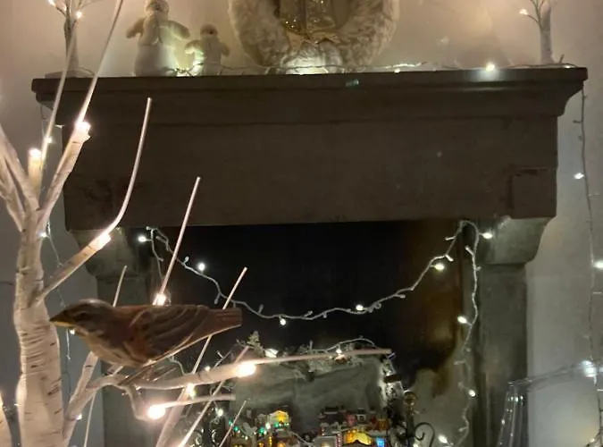 La Pecora E L Agnello