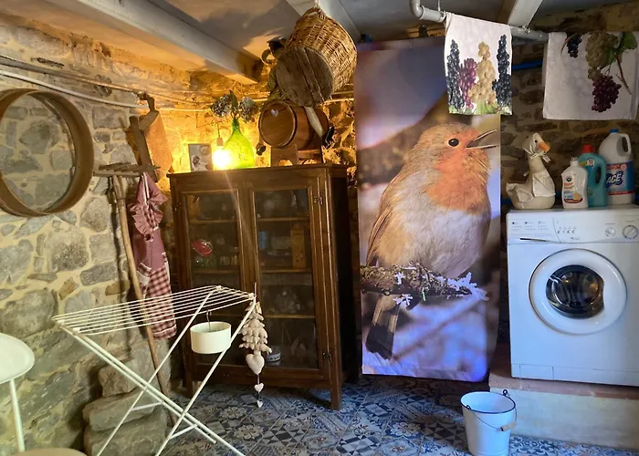 La Pecora E L Agnello 3*