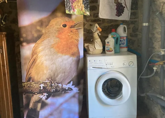 La Pecora E L Agnello B&B 카프라스미켈란젤로